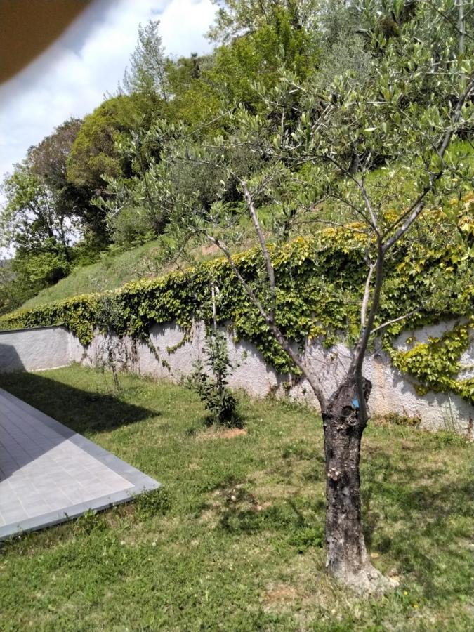 "Vento Di Levante Suite" Benvenuti In Collina Casarza Ligure Εξωτερικό φωτογραφία
